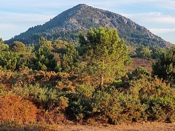 CASA INDEPENDIENTE PARA ALQUILER VACACIONAL EN LOURO - Muros