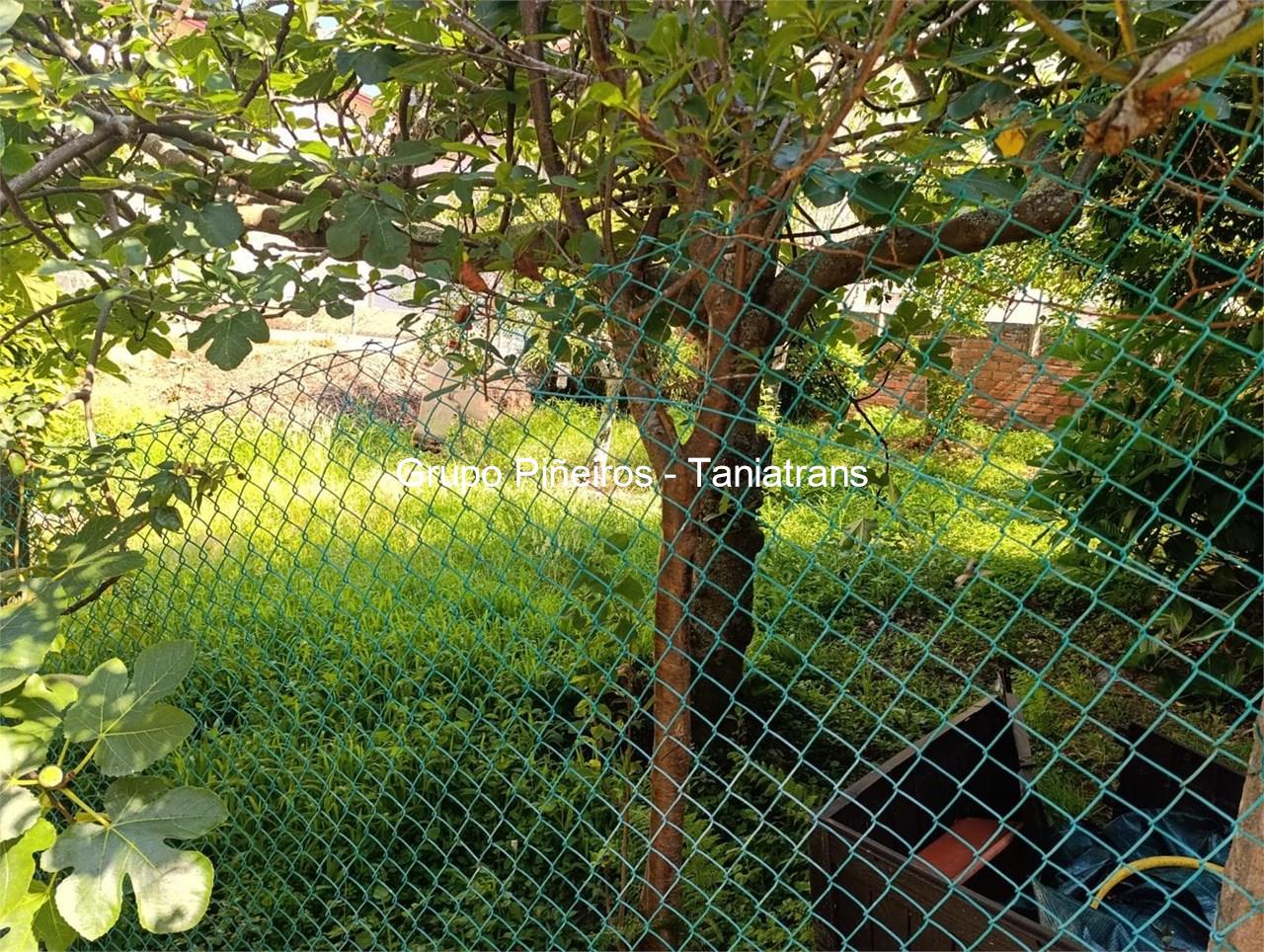 Foto 10 SE VENDA FINCA EN MUROS DE 310M2