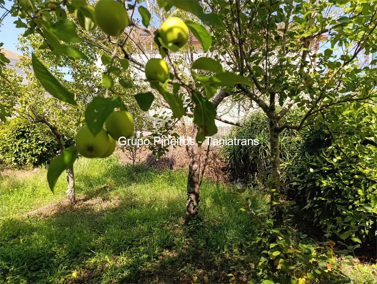 Foto 11 SE VENDA FINCA EN MUROS DE 310M2