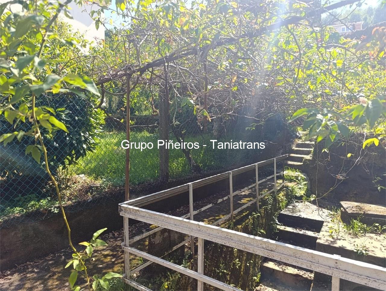 Foto 3 SE VENDA FINCA EN MUROS DE 310M2