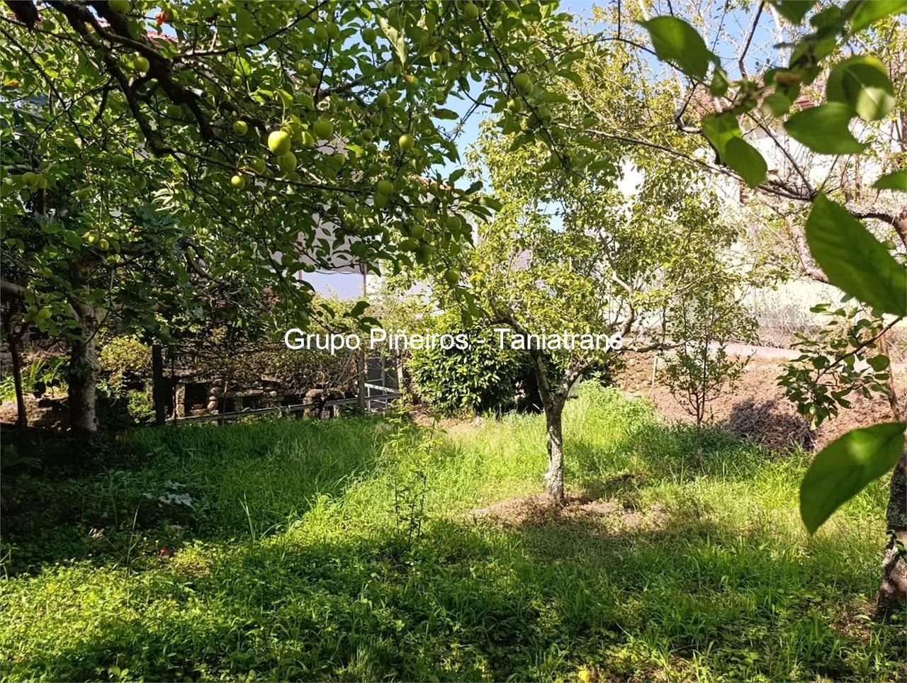 Foto 5 SE VENDA FINCA EN MUROS DE 310M2