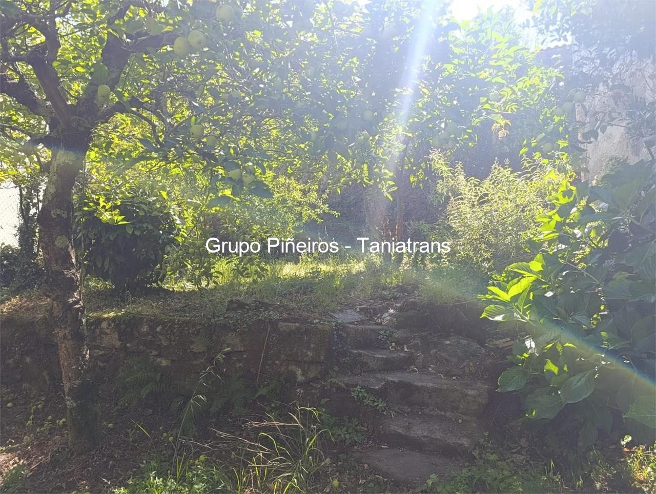 Foto 9 SE VENDA FINCA EN MUROS DE 310M2