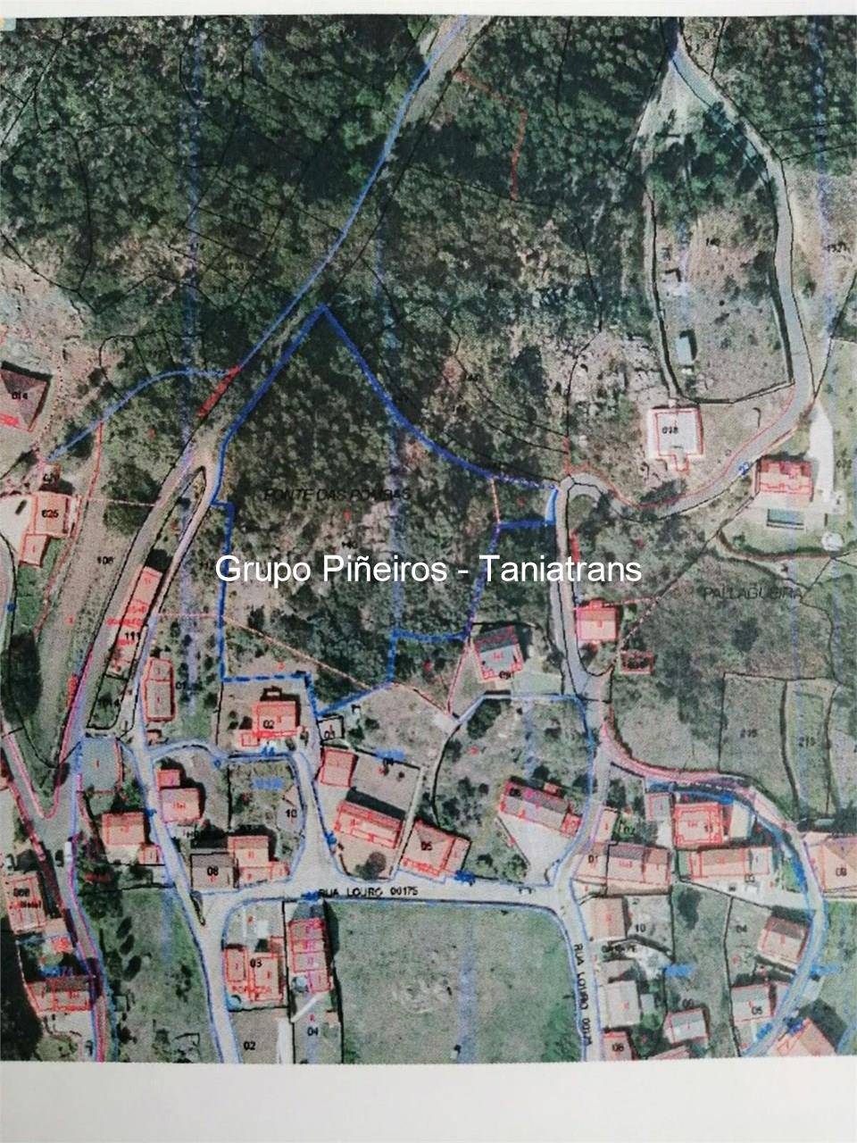 Foto 1 SE VENDE FINCA RUSTICA EN LOURO- FONTE DAS POMBAS