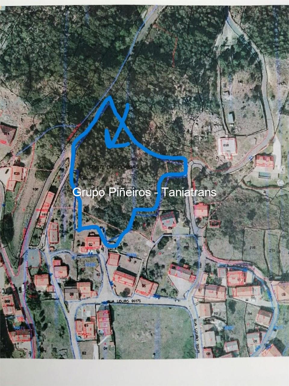 Foto 2 SE VENDE FINCA RUSTICA EN LOURO- FONTE DAS POMBAS